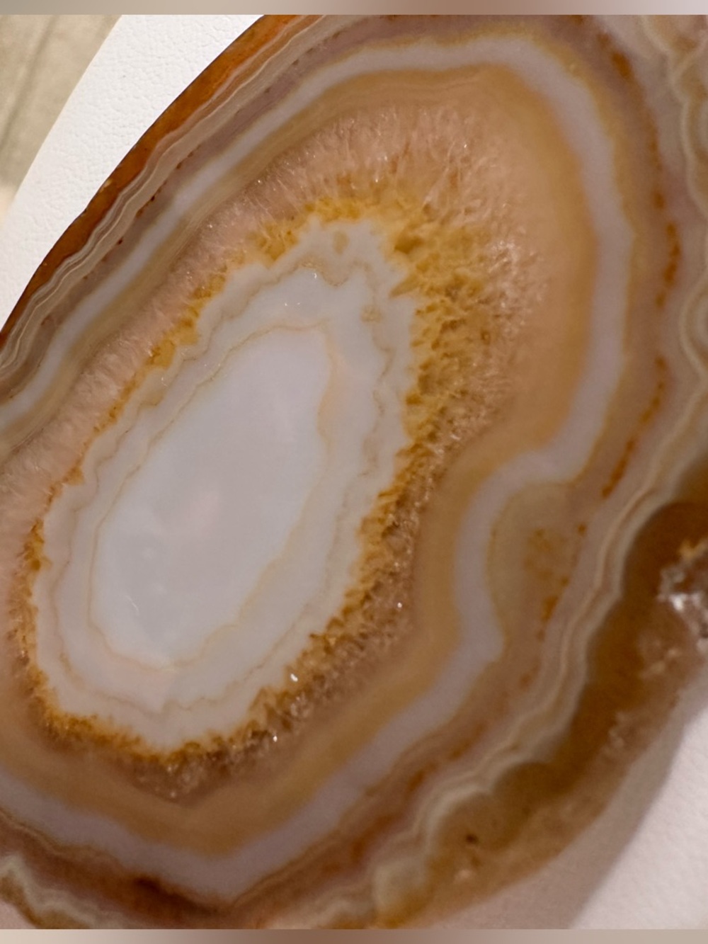 Brown Agate Slice Pendant Necklace - Picture 3 of 3